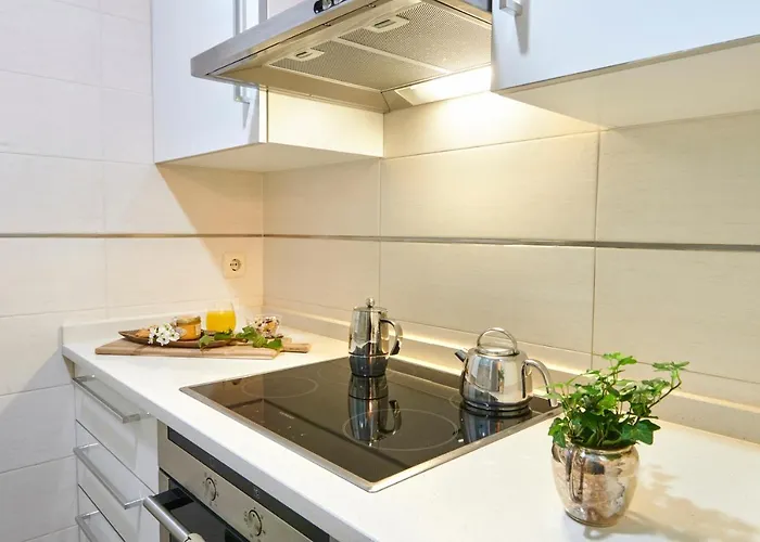 Apartment Deluxe Apt-views To Historic Maria Cristina San Sebastian